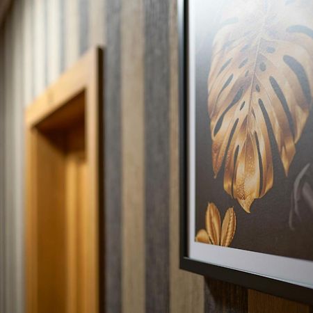 Apartments Alkantara Chrzanów Kültér fotó